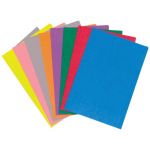 Fm File Folder Assorted Colour 10 Pack Foolscap | 61-173526